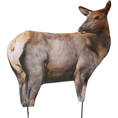 Montana Decoy Elk Decoy, Rocky Mountain Elk