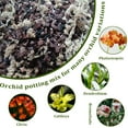 thumbnail image 5 of Fdgarden Orchid Potting Mix Soil with Sphagnum Pine Moss, 5 of 7