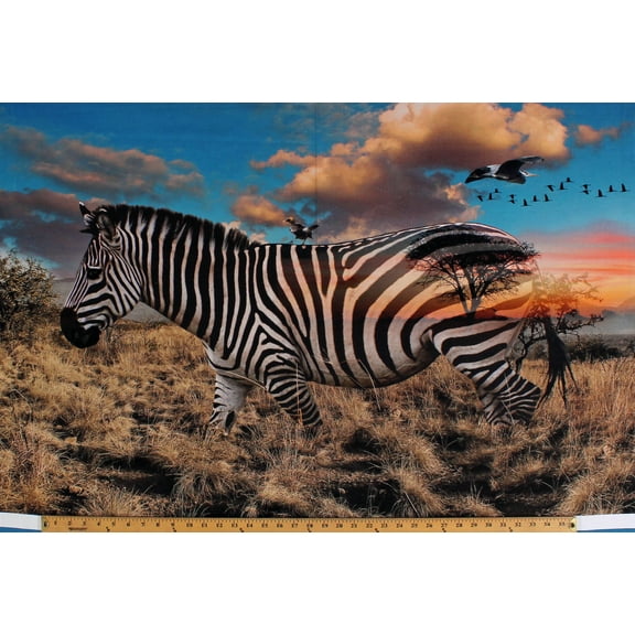 29.5" X 42" Panel Zebra Call of the Wild African Plains Wildlife Animals Nature Scenery Landscape Digital Cotton Fabric Panel (R4611-163-Zebra)