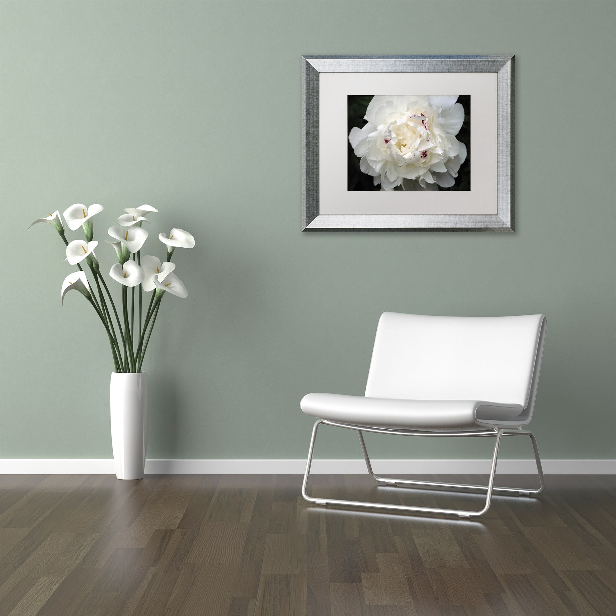 Trademark Fine Art "Perfect Peony" Canvas Art by Kurt Shaffer White Matte, Silver Frame
