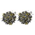 thumbnail image 1 of Paillettes en PVC, 200g Paillettes 5 Étoiles Paillettes Design Révolutionnaire, 1 of 5