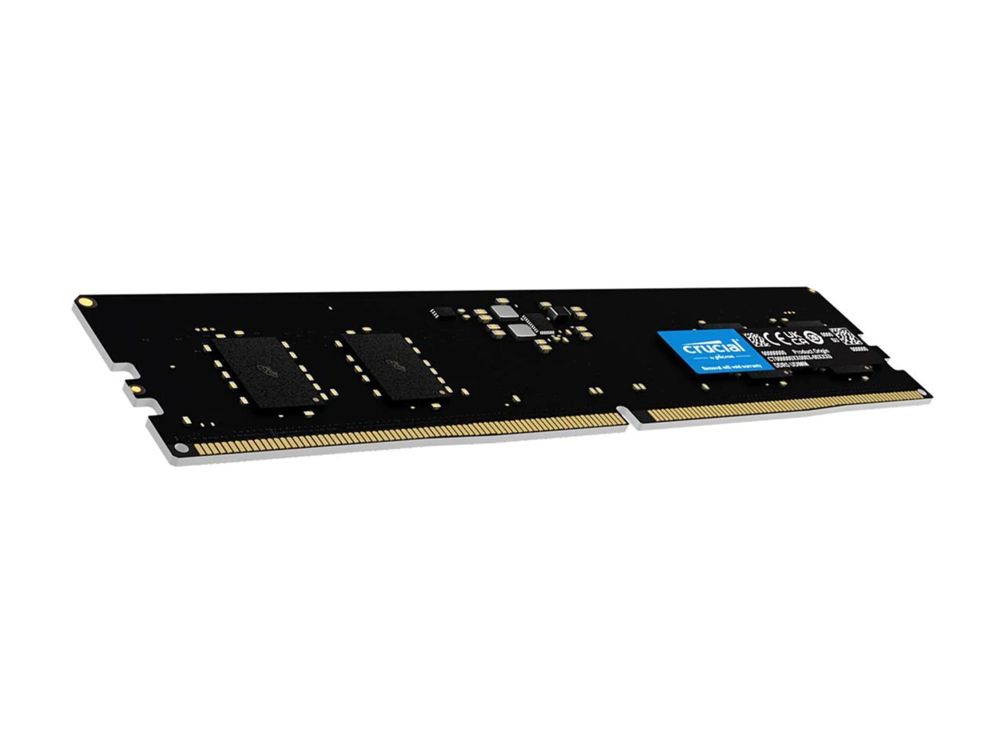 Crucial - DDR5 - module - 32 GB - DIMM 288-pin - 4800 MHz / PC5-38400 -  CL40 - 1.1 V - unbuffered - non-ECC