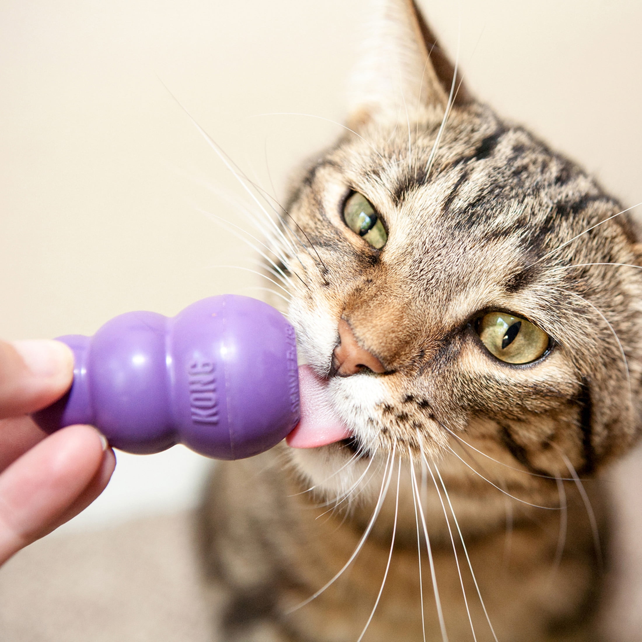 KONG® Kitty KONG Cat Toy, Treat Dispensing