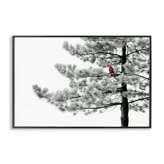 Cardinal in Stark Winter Tree Black Framed Giclee Art, 18 x 12, Made In USA