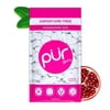 PUR Gum, Aspartame Free, Sugar Free & 100% Xylitol, Pomegranate Mint Chewing Gum, 55 Pieces, Pack of 1
