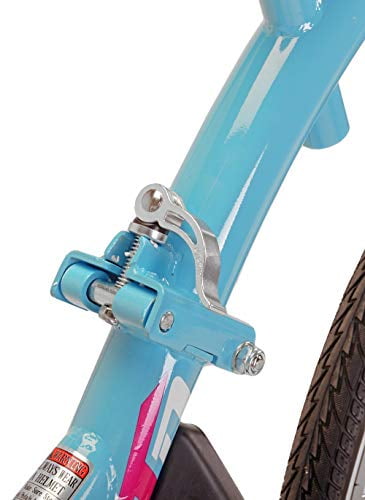 weeride co pilot xt