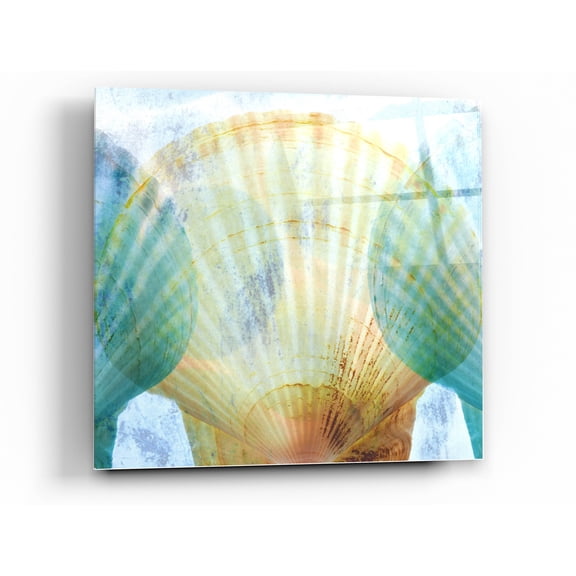 Epic Art 'Luminous Seashells 2' by Elena Ray Acrylic Glass Wall Art, 36"x36"