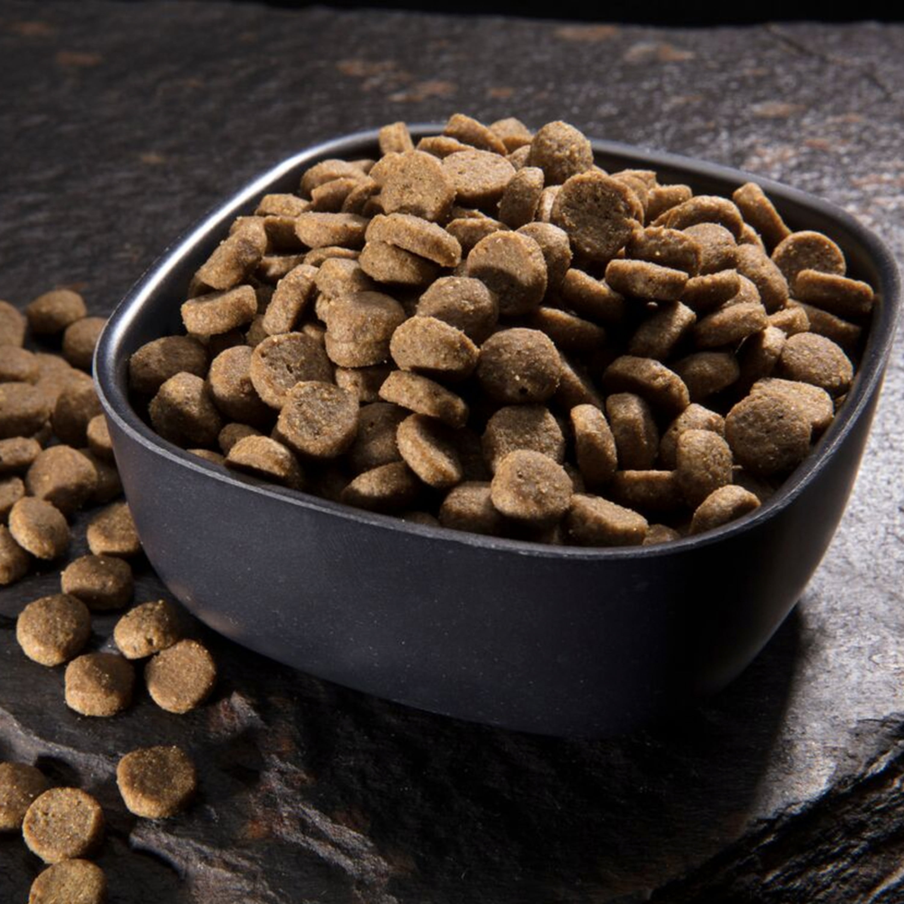 crave chicken cat food