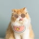 thumbnail image 5 of Fiudx Gafas de Moda para Mascotas, Montura Redonda Retro, Lentes Reflectantes, Elegantes Gafas de Sol para Perros y Gatos, Accesorios para Muñecos Pequeños, Fotografía de Fiestas y Eventos Al Aire Li, 5 of 6