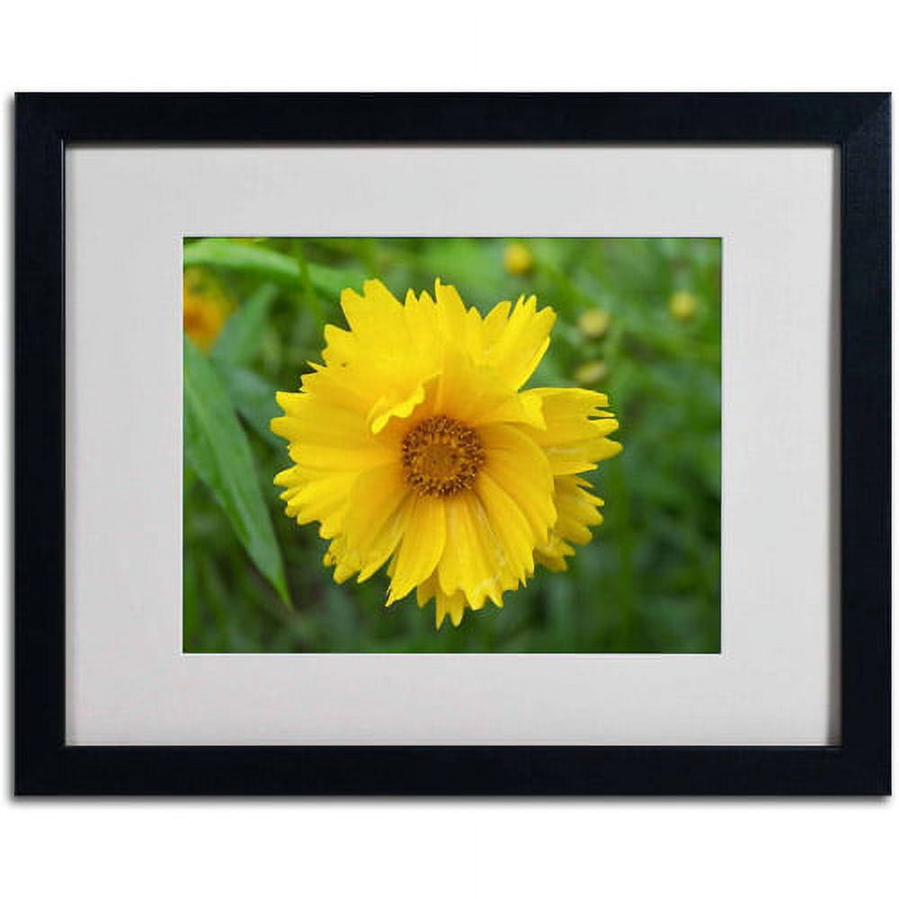 Trademark Fine Art "Purity" Canvas Art by Monica Fleet, White Matte, Black Frame