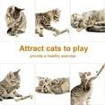 thumbnail image 6 of 3Pcs Cat Toys Natural Silvervine Sticks, Silvervine Blend Sticks, Catnip Cat Chew Toys for Kittens Teeth Cleaning Aggressive Chewers Cat Dental Toy, 6 of 6
