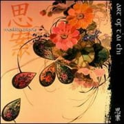 T'Ai Chi Reflections