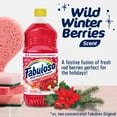 thumbnail image 4 of Fabuloso Holiday Multi-Purpose Cleaner, 2X Concentrated, Wild Winter Berries Scent, 33.8 fl oz, 4 of 14