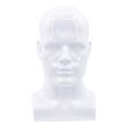 thumbnail image 2 of Cabeza de maniquí de realista Cabeza de exhibición Maniquí blanco Sunnimix pelucas cabeza de maniquí, 2 of 8