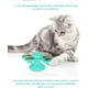 thumbnail image 2 of YUTANG Juguetes interactivos para gatos con hierba gatera Gato de interior, molino de viento Juguetes con hierba gatera Juguetes divertidos para gatitos Juguetes para cepillos de dientes para gatos Cepillo para gatos Tocadiscos Masaje Juguetes para rascar con ventosas Ormromra WMXL-67-1, 2 of 7