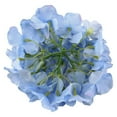 thumbnail image 5 of Simulation Silk Hydrangea Flower Head Color Of Blue , Hydrangea Heads Artificial Flowers Heads With Stems For Home Wedding Decor Pack Of 10, 5 of 7
