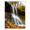 Cody York "Blue Hen Falls 2" Removable Wall Art Graphic