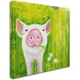 thumbnail image 2 of Trademark Fine Art 'Pig' Canvas Art by Michelle Faber, 2 of 6