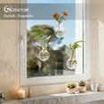thumbnail image 2 of Glasseam Set of 4 Hanging Glass Plant Propagation Stations for Windows: Wall Hydroponic Gardening Bulb Vase for Herb Cuttings Vertical Garden Decor for Kitchen Living Room Ideal Gift for Plant Lovers, 2 of 8