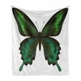 thumbnail image 1 of Swallowtail Butterfly Soft Flannel Fleece Throw Blanket, Realistic Exotic Wildlife Creature in Green Tones, Cozy Plush for Indoor and Outdoor Use, 60" x 80", Olive Green Jade Green, by Ambesonne, 1 of 6