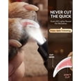 thumbnail image 4 of Lima de uñas para perros Naigrins Torque X de 7 velocidades con LED, silenciosa, 4 of 8