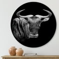thumbnail image 2 of Designart 'Black and White Portrait Of Wildebeest' Farmhouse Circle Metal Wall Art 11x11 - Disc of 11, 2 of 5