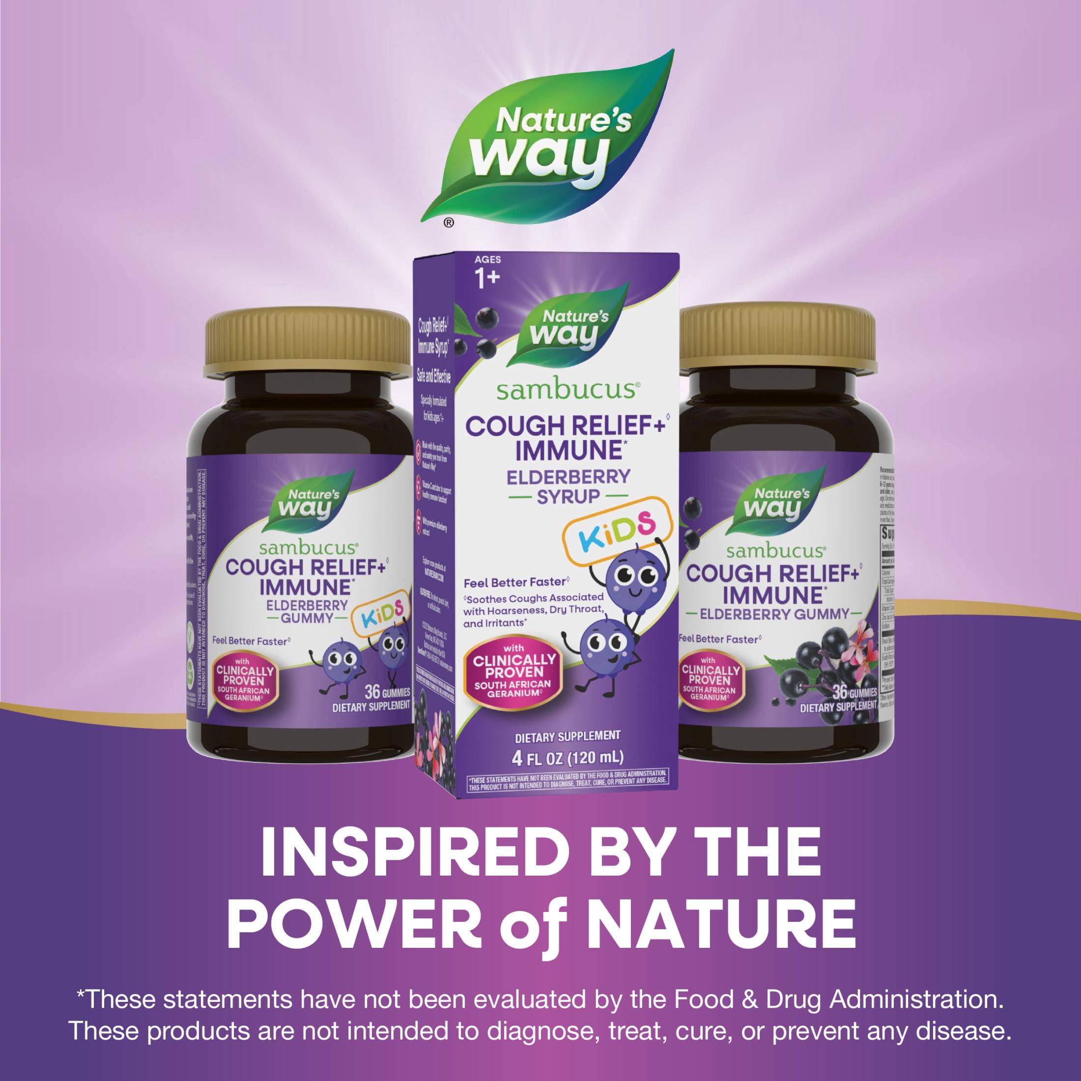 (2 pack) Nature's Way Sambucus Kids Cough Relief + Immune Elderberry Syrup, with Vitamin C & Zinc, 4 fl oz