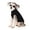 Black, variant on Projectretro Dog Sweater - Warm Sweater Winter Clothes Puppy Soft Coat, Pure Color Dog Sweater for Small Medium and Large Dogs, Pet Clothing Boy Girl