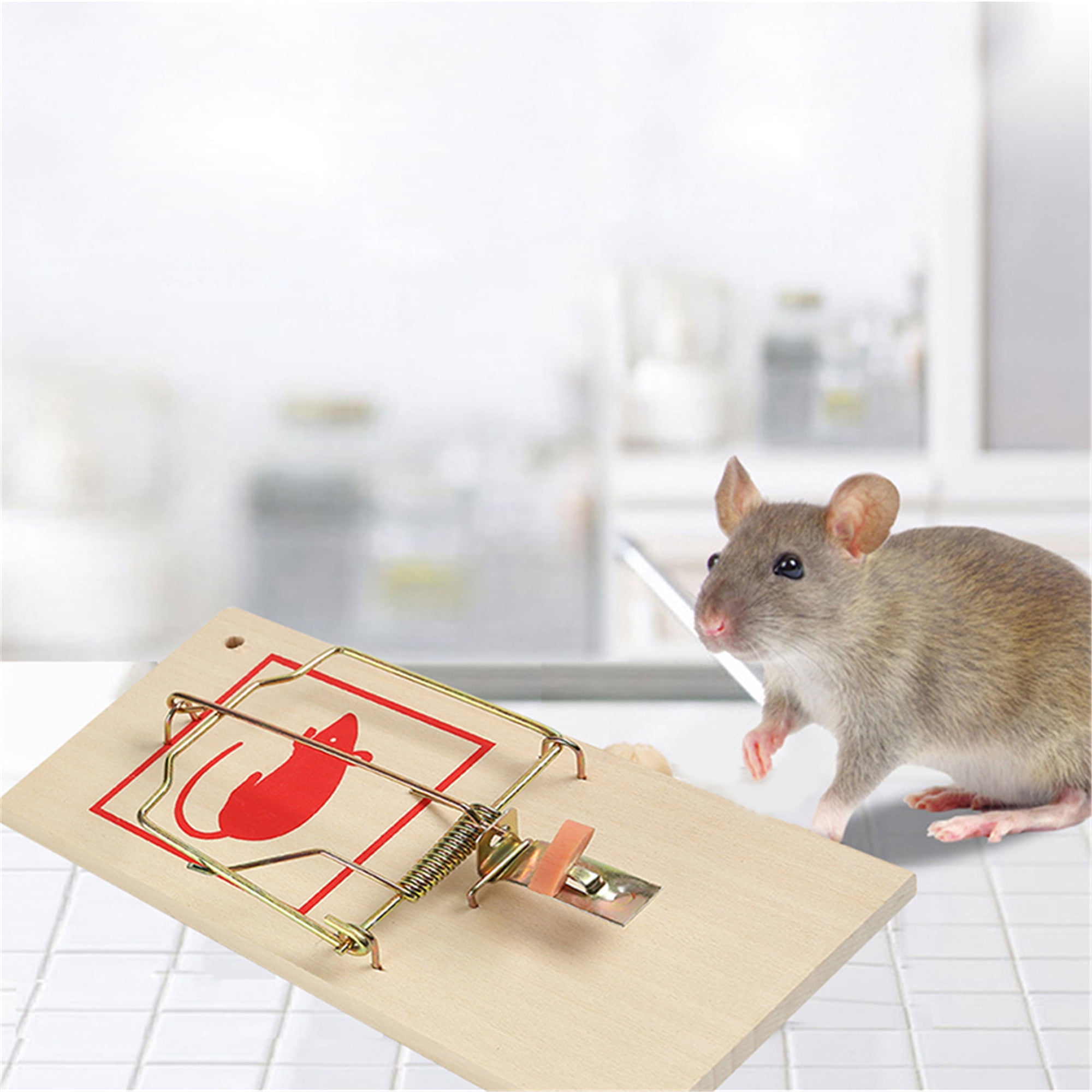 Metal Pedal Indoor/Outdoor Sustainably Sourced FSC Wood Snap Mouse Trap - 4  pack