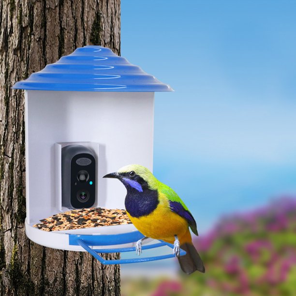 Cámara de observación de aves con panel solar HD 1080P WiFi 2.4G Captura automática a prueba de agua