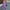 Purple, variant on Women's Summer Fashion Long Overalls, Casual Loose Overalls, Loose Jumpsuit with Pockets, Summer and Autumn Comfortable Wear