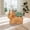 B, variant on Artificial Cow Planter Artificial Highland Cow Shaped Planter Faux Ery Pot forIndoor Decor Desk Accent Home Decoration Gift Idea Faux Highland Cow Pot