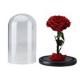 thumbnail image 3 of Real Preserved Rose Flower With Glass Cover Eternal Rose In Glass Dome Home Decoration For Valentine‘s Day, 3 of 9