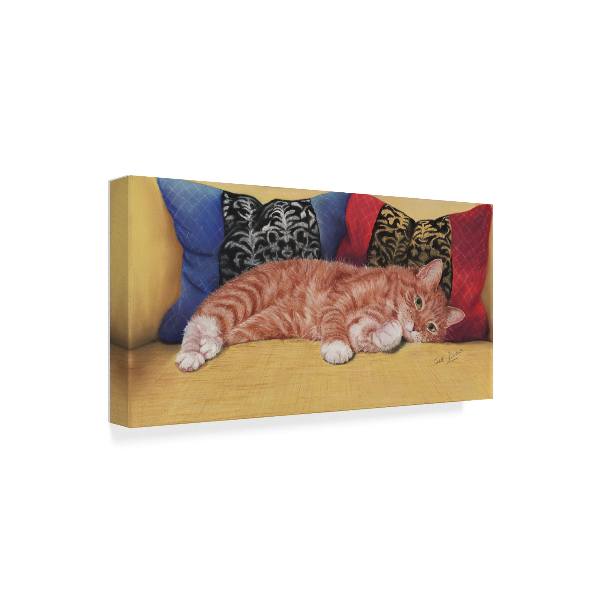 Trademark Fine Art 'Ziggy' Canvas Art by Janet Pidoux