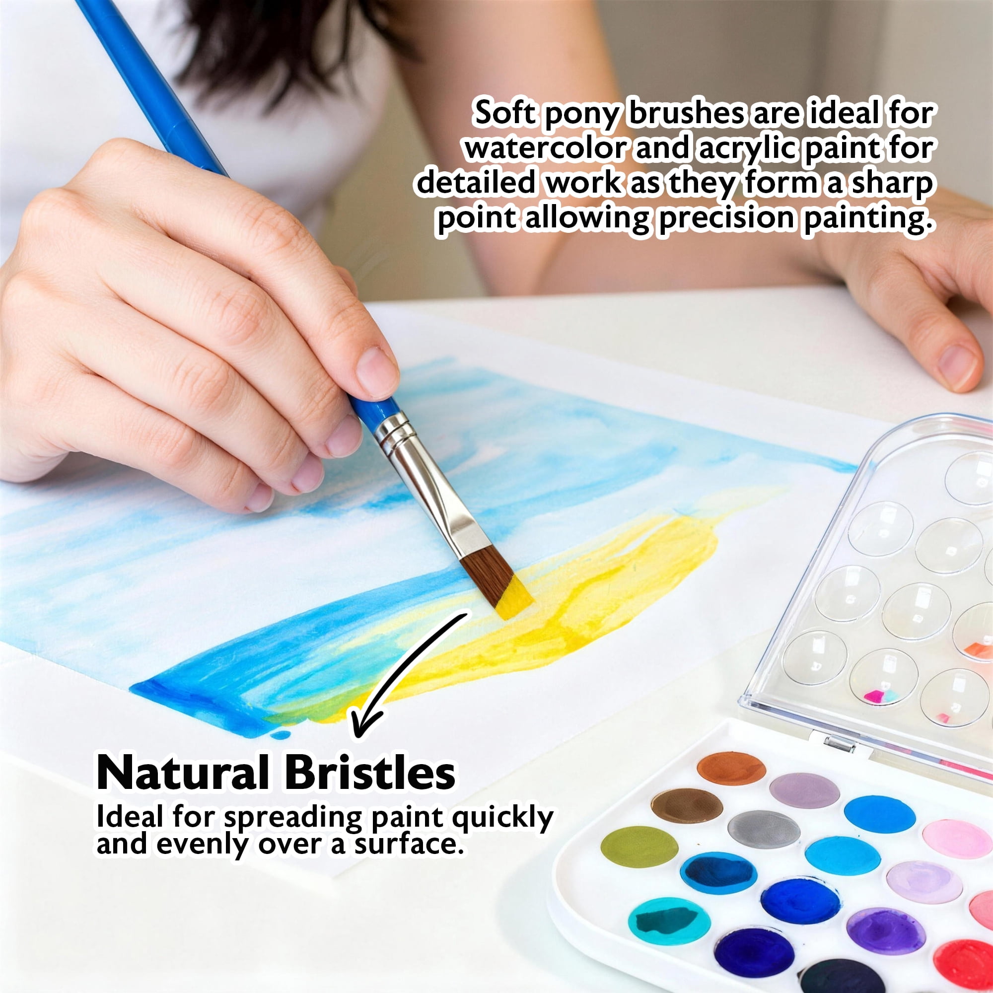 BAZIC Flat Natural Hair Paint Brush Set, (5/pack), 24-Packs