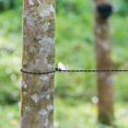 thumbnail image 4 of 2 Piece Portable Clothesline for Camping Hiking Beach Travel, 4 of 5