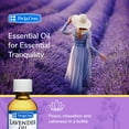 thumbnail image 2 of De La Cruz Lavender Essential Oil for Aromatherapy Diffuser and Humidifiers 100% Pure 2 fl oz (59 ml), 2 of 4