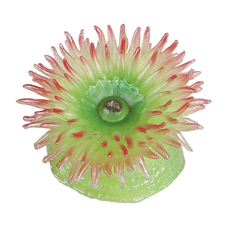 知育玩具 anemone 知育玩具 anemone Sea Anemone Animal Toy PVC Action Figure