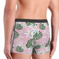 thumbnail image 5 of Daiia Lilies Flowers Men's Underwear Boxer Briefs, Cotton Stretch Moisture-Wicking Underwear-XX-Large, 5 of 9