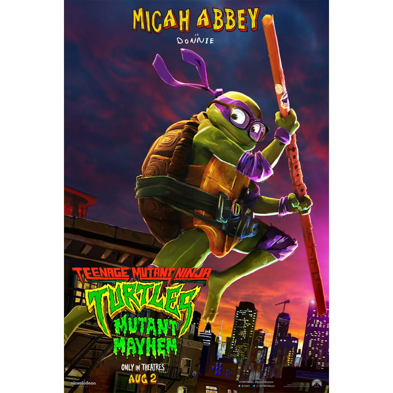 Teenage Mutant Ninja Turtles DVD Fine Art Print by Unknown at