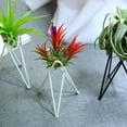 thumbnail image 6 of Mutmorningal Tripot Planter Stand 2-Pack Black Flower Pot Holder for Indoor Home Gardening and Living Room Decor, 6 of 10