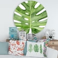 thumbnail image 2 of Designart 'Close Up Green Monstera Leaf Tropical Palm' Tropical Circle Metal Wall Art 29x29 - Disc of 29, 2 of 5