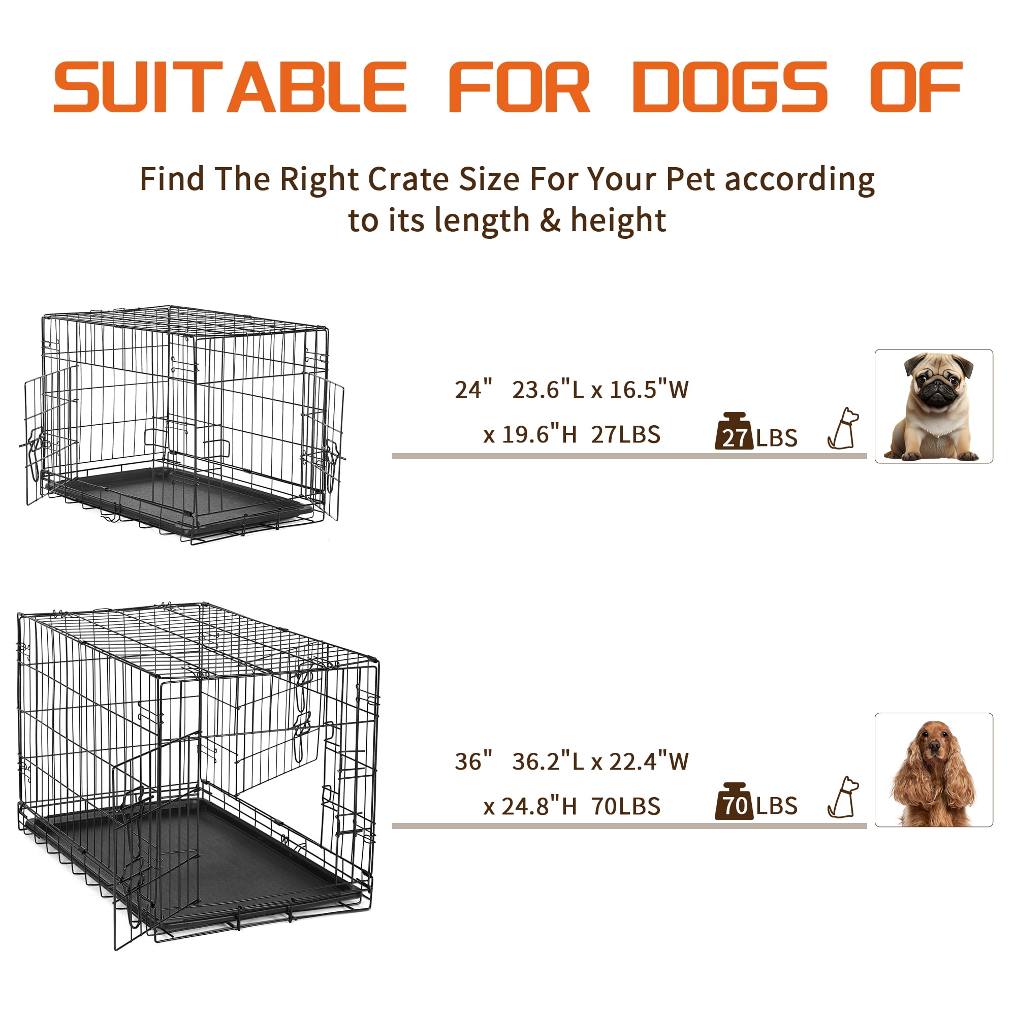 Elevon Foldable Double Door Dog Crate with Leak-Proof Tray, 24-Inch