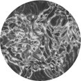 thumbnail image 1 of Ahgly Company Machine Washable Indoor Round Transitional Gunmetal Gray Area Rugs, 7' Round, 1 of 7