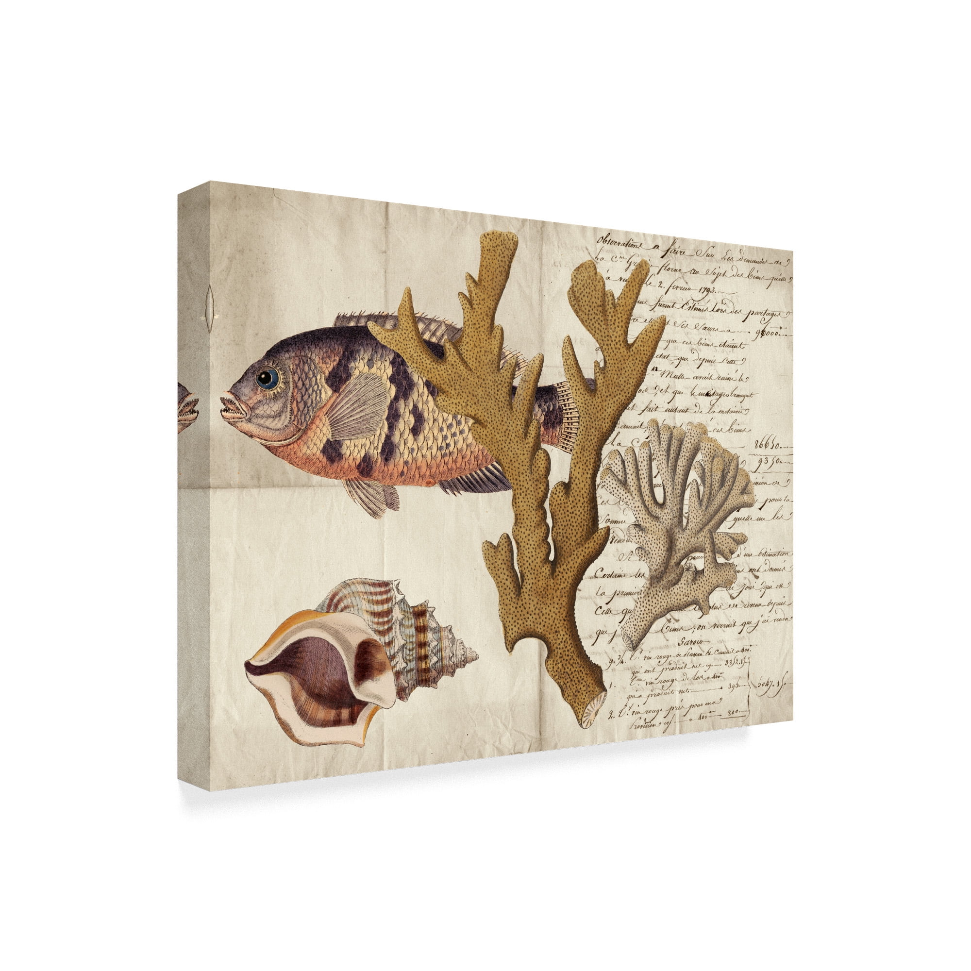Trademark Fine Art 'Sea life Journal I' Canvas Art by Vision Studio