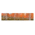 thumbnail image 2 of Unknown 32x13 White Modern Wood Framed Museum Art Print Titled - Autumn Trees, 2 of 4