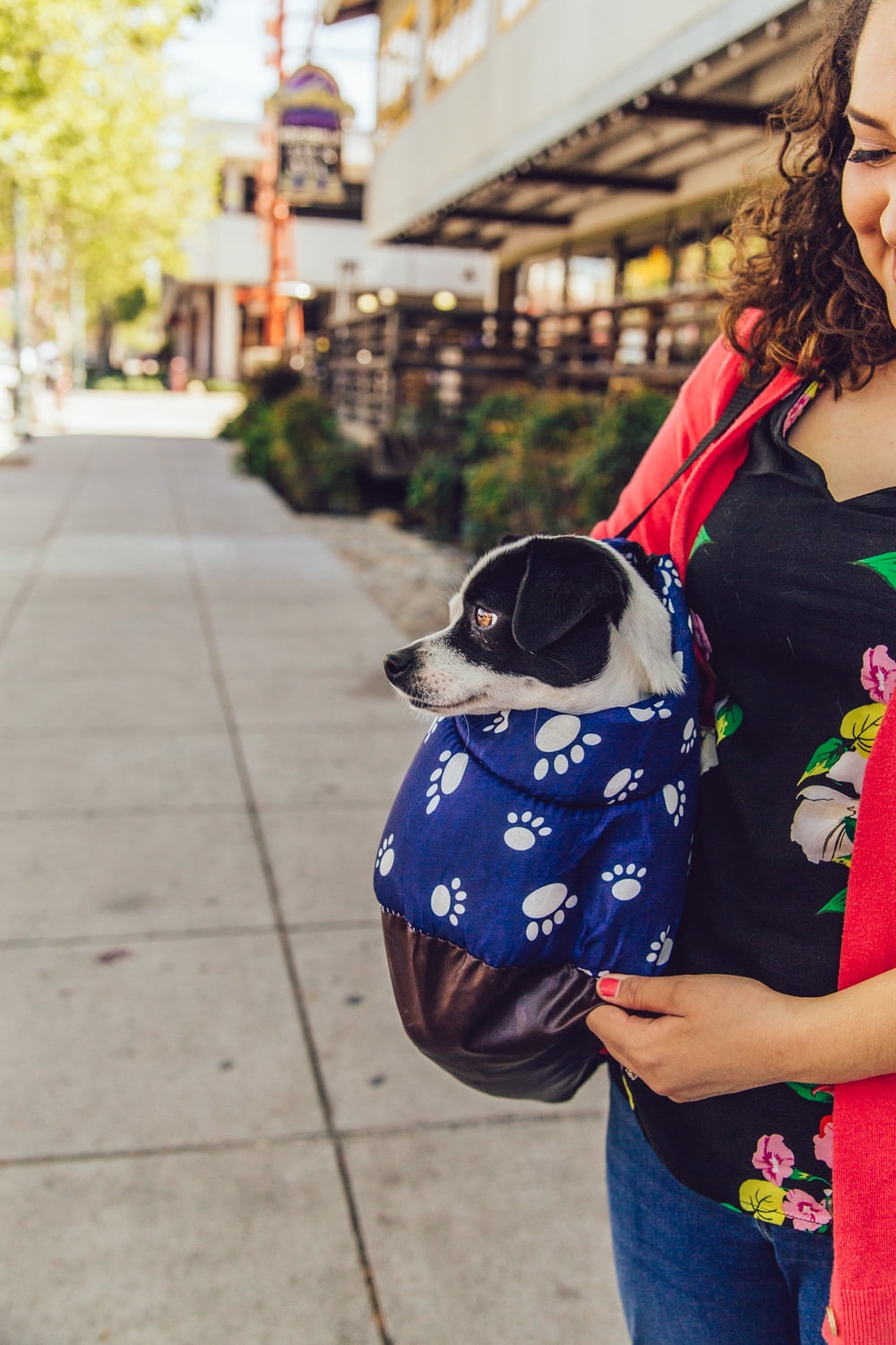 Deluxe Cushioned Dog Paw Print Pet Travel Carrier Bag