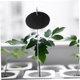 thumbnail image 4 of VERDANVERSE 4Ud Etiquetas Para Plantas De Pizarra Accesorios Exclusivas Para Jardinería Y Cultivo, 4 of 8