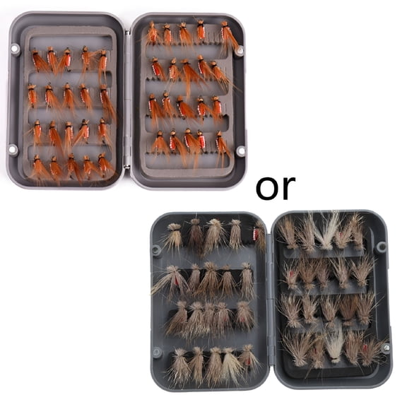 BESTSKY Fly Fishing Flies with Box, Dry Wet Flies, Nymphs, Streamers for Bass Salmon Trout Fishing 40Pcs