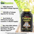 thumbnail image 3 of Suplemento de TNVitamins, extracto de Fadogia Agrestis, 1200 mg, 120 cápsulas, 3 of 7